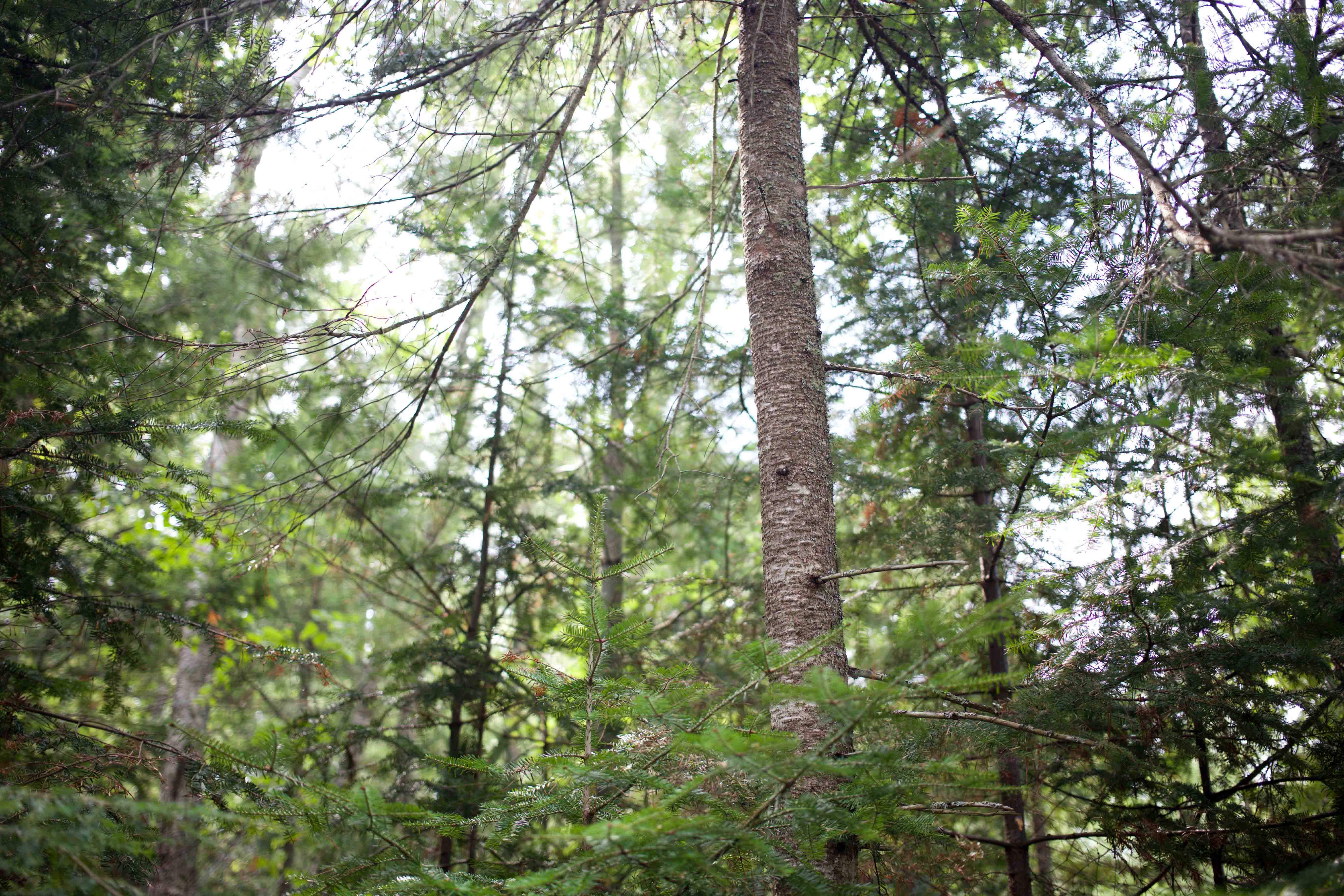 50 Hikes in Wisconsin: Hike #1 – Stockton Island