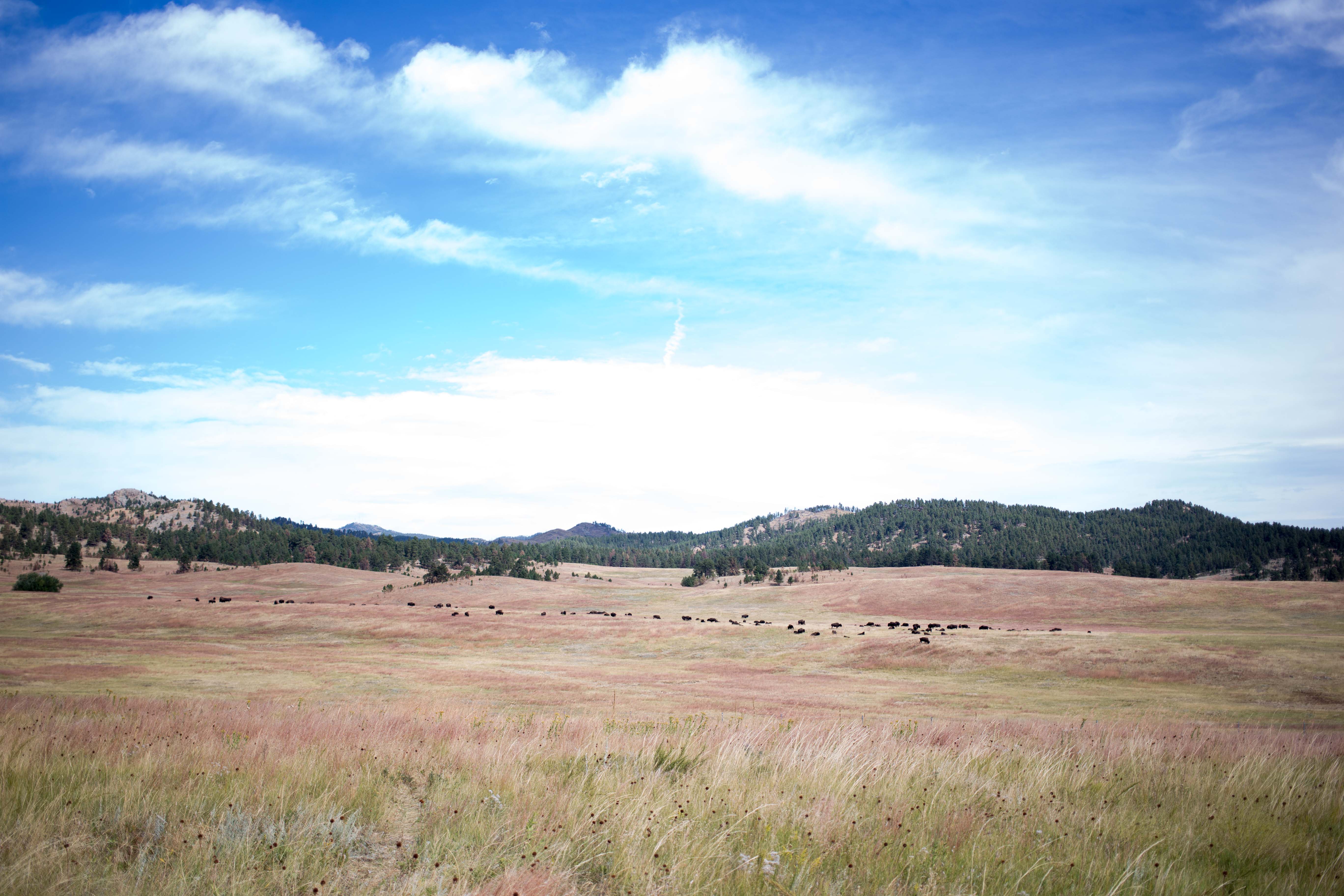 Story in Photos: Wyoming & The Black Hills 2015
